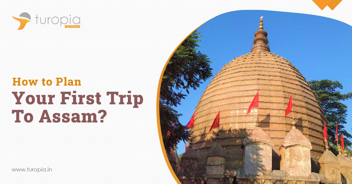 How to Plan Your First Trip to Assam?