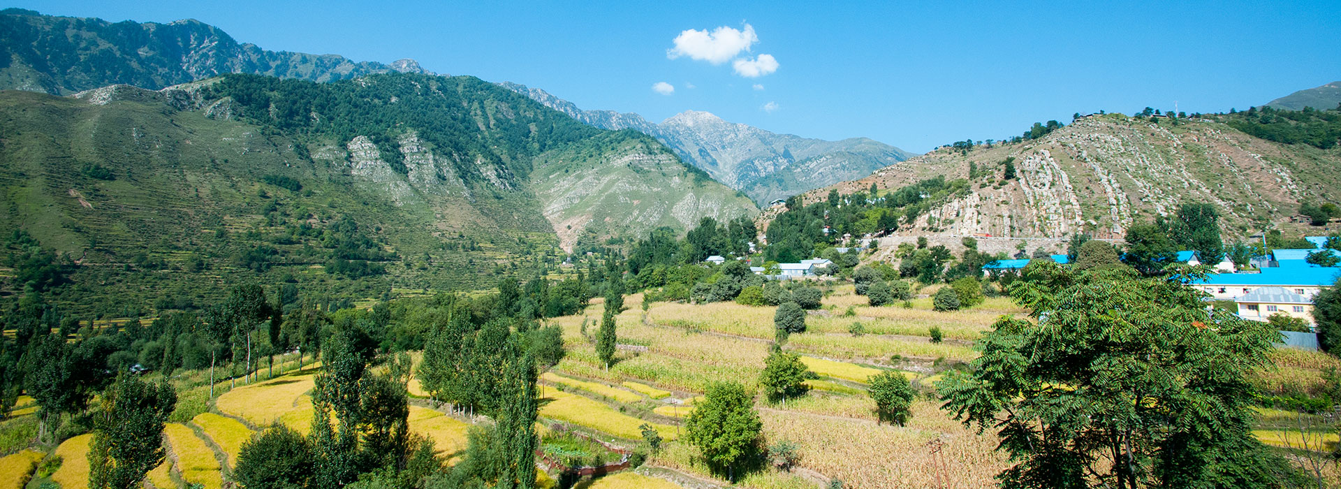 Kashmir 