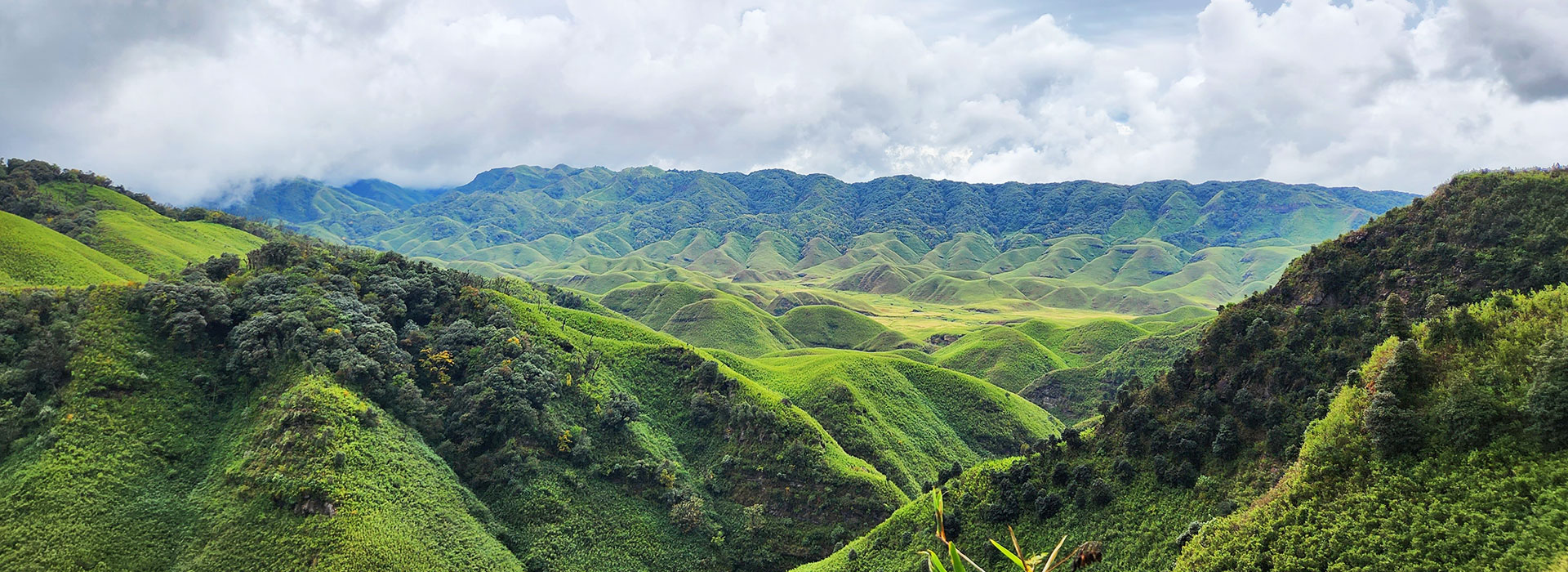 Nagaland 