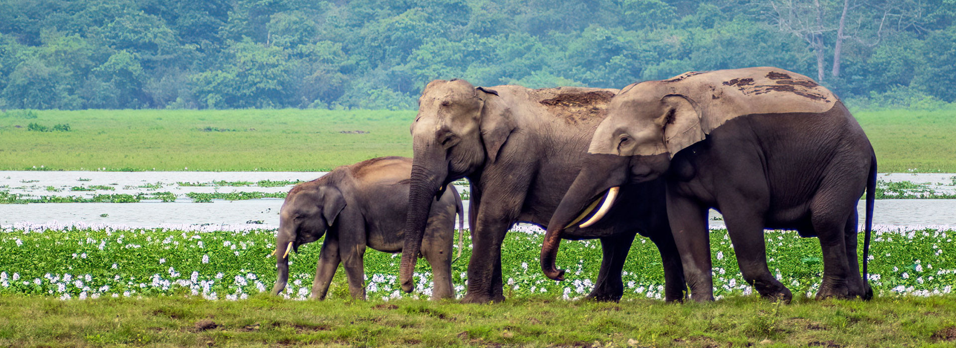 Discover North East India
