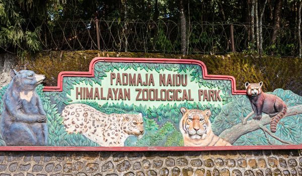 Padmaja Naidu Himalayan Zoological Park