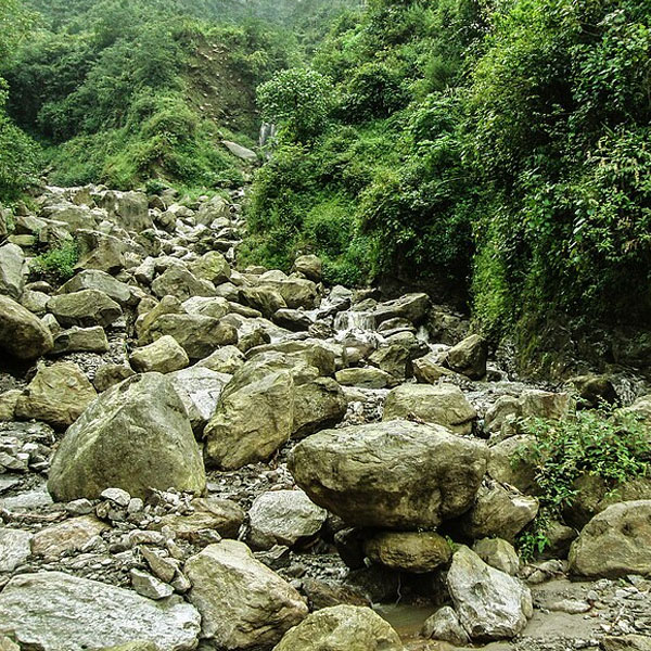 Rock Garden 