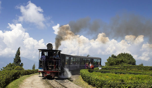 Darjeeling Himalayan Railway (Toy Train)