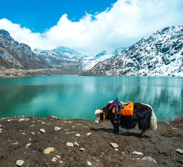 Tsomgo Lake & Baba Mandir